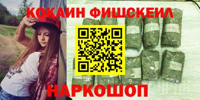 молекула духа Партизанск