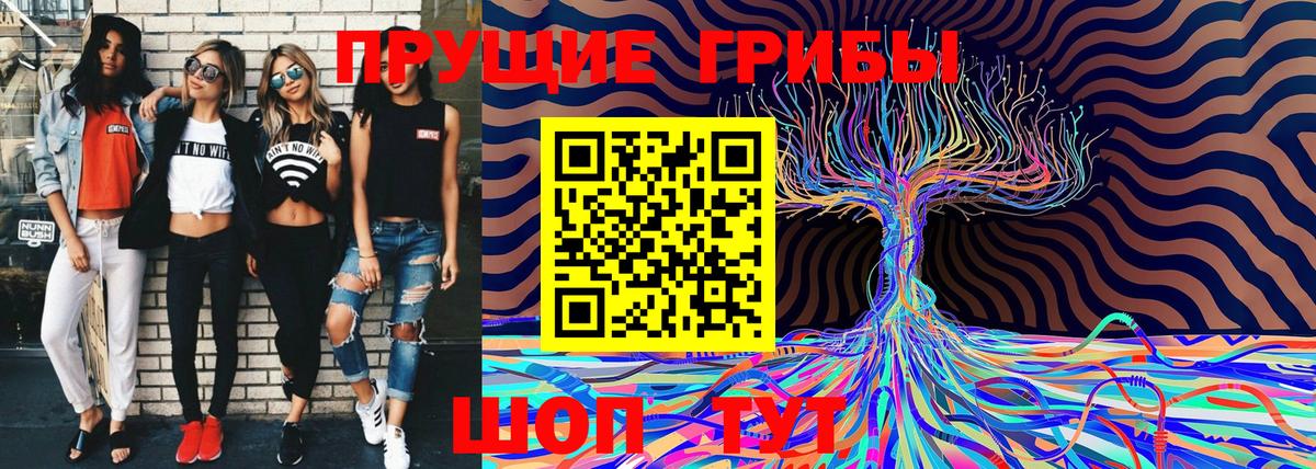 Псилоцибиновые грибы Psilocybine cubensis Пыть-Ях